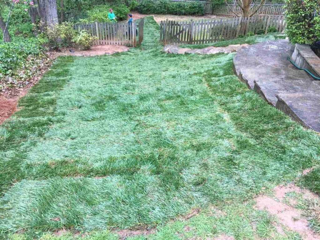 Sod Installation for Your Instant Satisfaction